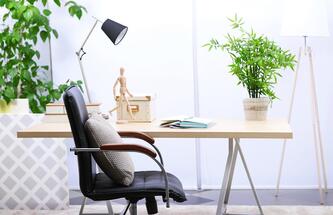 Office plants - better air quality, more productivity and satisfaction