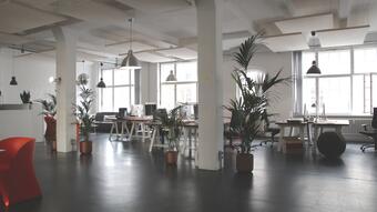 Generational Evolution of the Offices - From Baby Boomers to Gen Z