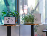 Offices to let in The Works Coworking
